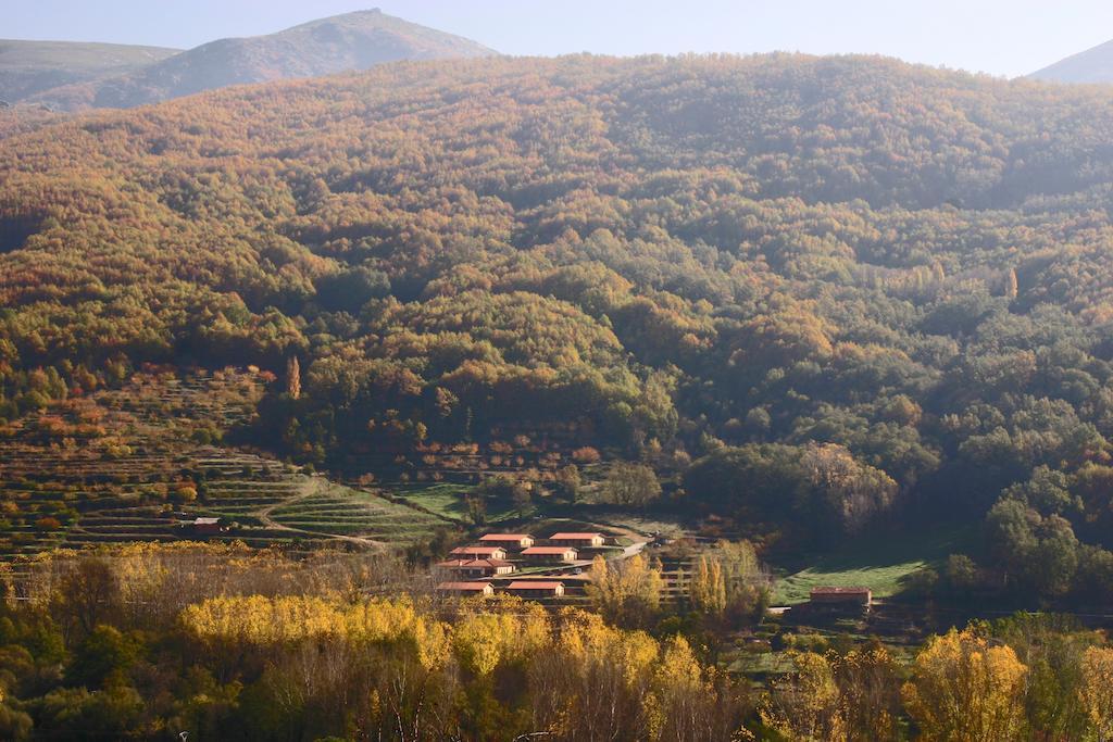 Apartamentos Rurales La Vega Del Херте Екстер'єр фото